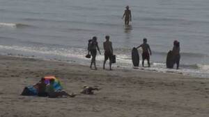 asian nude beach sex - More police patrols needed at Wreck Beach says Metro Vancouver | Watch News  Videos Online