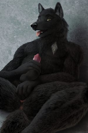 big black wolf pussy - Rule 34 - anus balls black fur black nose canine canine penis erection  fingering fur furry herm intersex looking at viewer mace black male only  masturbation no humans nude open mouth penis