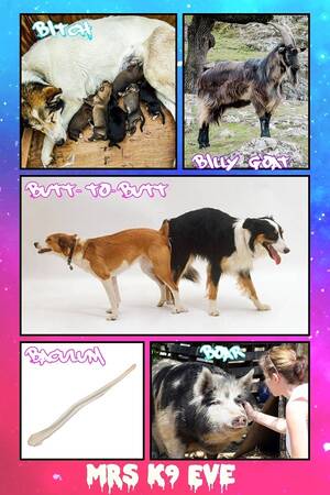 Bestiality Religion Porn - The Encyclopedia of Zoophilia â‹† Beastiality.Club