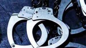 Handcuff Forced Porn - Delhi man booked for forcing wife to watch porn, dress like porn star,  probe on - India News | The Financial Express