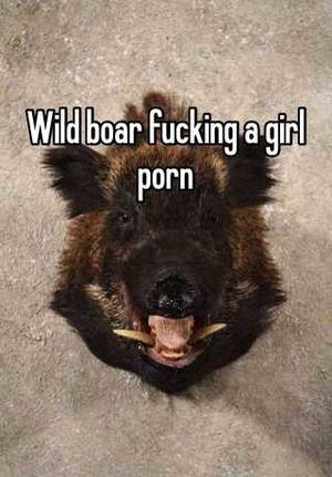 Boars And Women Porn - 