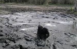 black mud porn - Wallowing in a black 4x4 mud pit - Biguz.net