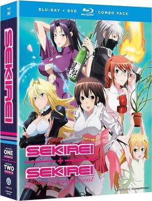 Harem Time Anime Porn - Sekirei: Complete Series (Blu-ray/DVD Combo) : Lydia Mackay, Alexis Tipton,  Clarine Harp, Jamie Marchi, Scott Sager: Movies & TV - Amazon.com