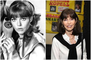 Barbara Feldon Nude - Blast From The Past: Women From Popular TV Shows & Movies