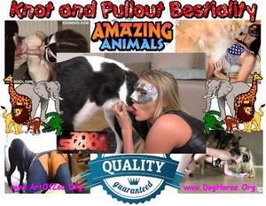 Bestiality Sex Movies - Zoo SiteRip's â€“ Zoo Sex Site â„–1