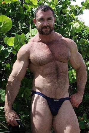 Big Muscle Bear Porn - 