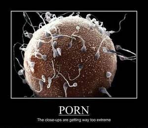 Funny Extreme Porn - Extreme porn close up (SFW) : r/funny
