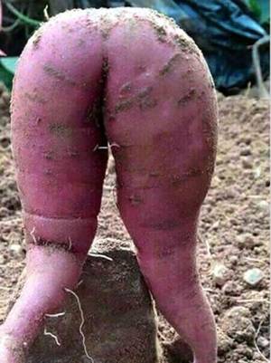 Funny Porn Food - 13 Mildly NSFW Food Items That Took 'Food Porn' A Bit Too Literally