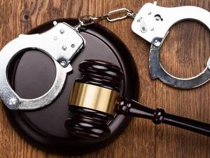 Baby Pornography - Man Accused Of Keeping Treehouse Full Of Child Porn Enters Plea