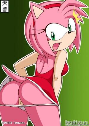 Amy Rose Pussy Porn - Amy rose with ass and nice pussy : r/SonicPorn