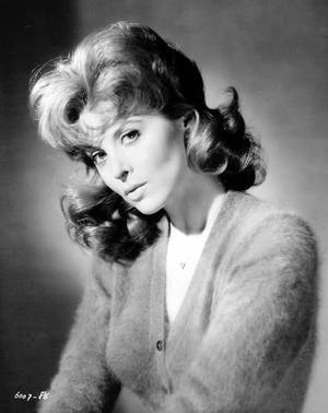 60s Porn Star Tina Louise - Items 1 - 14 of 14 Playboy pictorials are as hot as other features of the  magazine. Tina Louise 1934 2 Up 110 The Hottest Cheryl. Ladd Photos vote on  this