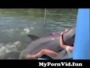 dolphin vagina cam - Dolphin Pussy Diving ft. Doja Cat from dolfien fise sex pussy Watch Video -  MyPornVid.fun