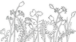 Black Sleeping Porn Tube - In Bloom â€“ Guernica