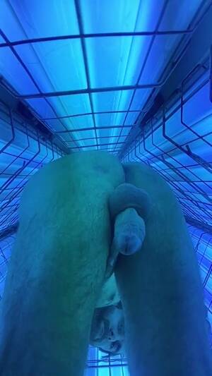 big cock in tanning bed - Jerking in Tanning Bed - ThisVid.com