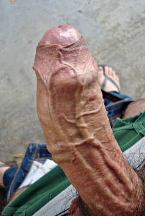 huge thick veiny cock - yesforeskin: Veiny cock - a huge, thick, curved uncut veiny tool Tumblr Porn