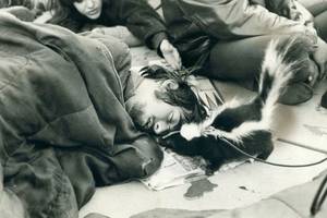 Hippies Summer Of Love Sex - Hippie sleeps and his pet skunk sniffs at his face