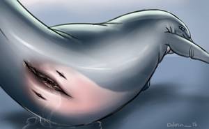 Anthro Dolphin Porn - #696334: lonbluewolf - e621