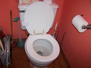 Bidet Toddler Porn - I offer no explanation for the following.