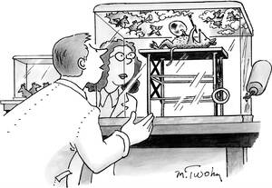 Lab Rats Disney Porn Captions - Contest #876 Summary