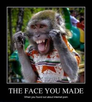 Bestiality Porn Motivational Posters - 20 Awesome Animal Demotivational Posters - Demotivationals 4 U | Demotivational  Posters