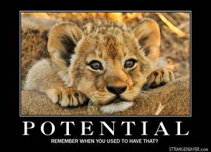 Demotivational Posters Pissing Porn - funny demotivational poster