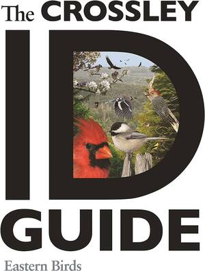 Bird Watching Porn - The Crossley ID Guide: Eastern Birds (The Crossley ID Guides): Crossley,  Richard: 9780691147789: Amazon.com: Books