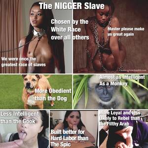 Arab Interracial Porn Captions - Racial Captions Nude Slave | BDSM Fetish