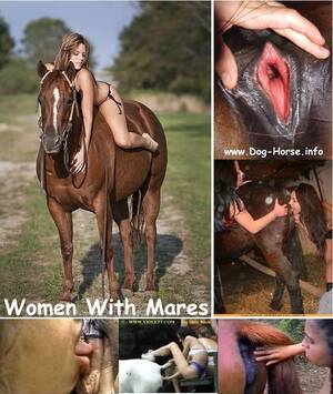 Mare Bestiality Porn - Women With Mares - Animal Porn Bestiality Collection - Free Animal Sex Forum