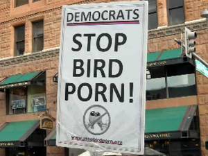 Bird Porn - Stop Bird Porn