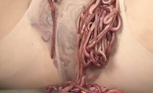 Japanese Worm Porn - Worm Porn Worms In Pussy Porn Japanese Hairy Worm Maggots Xxxpicz
