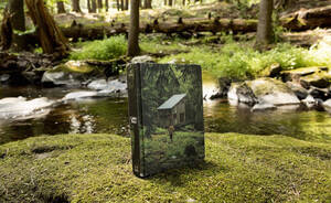 Cabin - Cabin Porn book inspires you to give it all up for a quiet place somewhere  - PLAIN Magazine