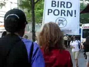 Bird Watching Porn - Bird Watching is Bird Porn