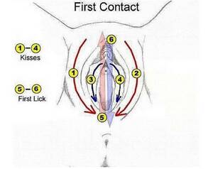 clit sucking techniques - Females any thoughts on this diagram on how to properly satisfy you orally?  : r/sex