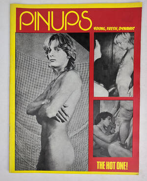Gay Vintage Porn Books - Pinups: Young, Fresh, Dynamic (Vintage Gay Porn Magazine) - The Book  Merchant Jenkins