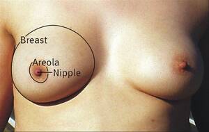 b size breast - 
