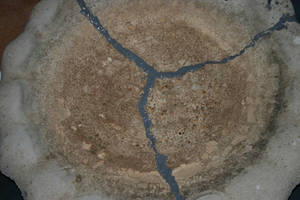 Bird Bath Porn - birdbathh09-28-09.jpg