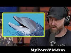dolphin vagina cam - How Soft is a Dolphin Vagina? from dolphin pussy vag Watch Video -  MyPornVid.fun