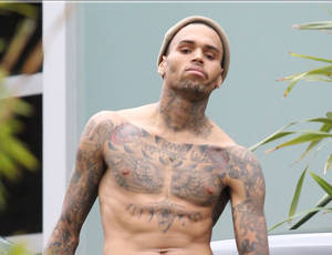 huge celebrity cock - Chris Brown Malibu