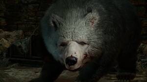 Bear Bear Porn - Baldur's Gate 3 director says the bear sex meme got so out of hand that  people were trolling his son with bear pictures : r/PS5