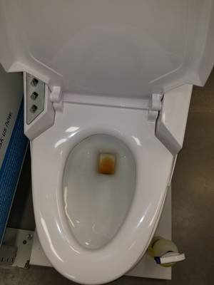 Bidet Toddler Porn - Yes, that is what it looks like and yes I had to clean it.