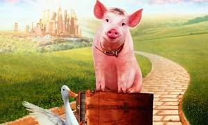 Babe Pig Movie Porn - Babe: Pig in the City rewatched â€“ talking pig returns in grossly underrated  sequel