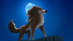 Humphry Female Alpha And Omega Porn - Party on, Garth!