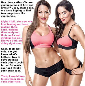 Bella Twins Porn Captions - Bella Twins Boobs | Sex Pictures Pass