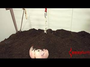 Anime Girl Killing Girl Porn - 