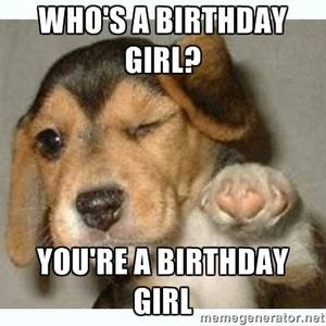 fat girl happy birthday funnies - Who's a birthday girl? You're a birthday girl - fist bump puppy |. Funny ...