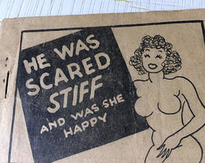 Danish Porn Comics - Tijuana Bibles 8 Pagers Vintage Porn He was Scared Stiff and She Was Happy