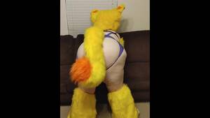 Fat Fursuit Porn - Big Busty Furry Gets her Pussy Pounded by Mate - Pornhub.com