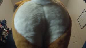 Furry Butt Porn - Wagging my Tail - Pornhub.com