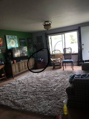 Mother Big Ass Porn - My mom keeps putting up cameras and spying on us : r/insaneparents