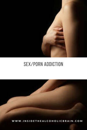 Addict Sex Sites - SEX/PORN Addiction â€“ Inside The Alcoholic Brain